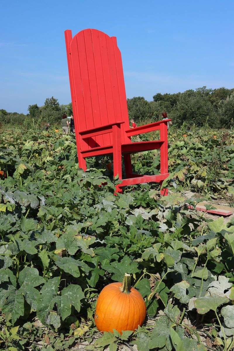 Broom Orchard, Carlinville, IL