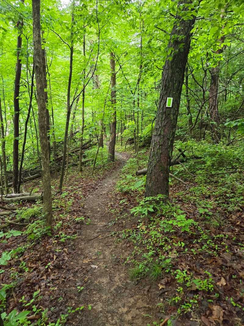 Broughton Nature Park Trails, Marietta