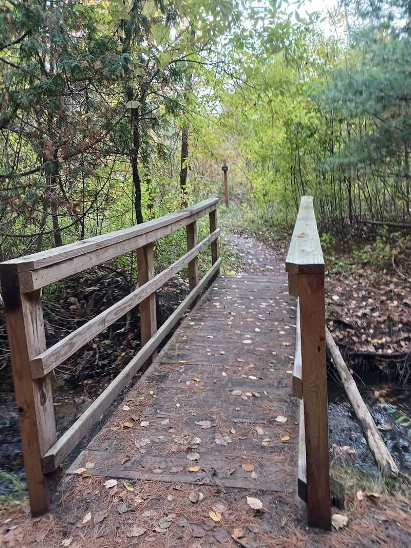 Miller Creek Nature Preserve, Traverse City