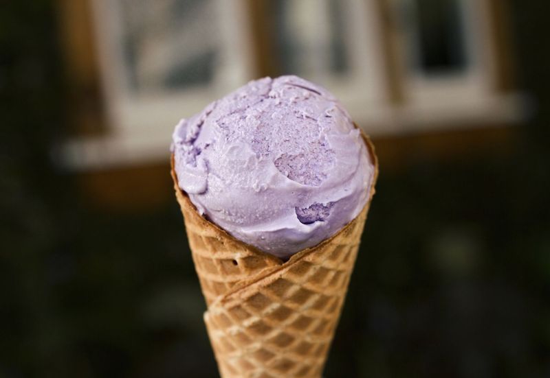 Lavender Honey Bliss