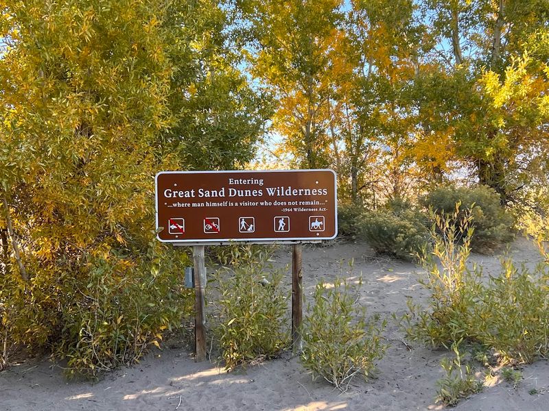 Great Sand Dunes National Park and Preserve - Mosca