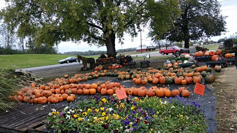 Brown's Family Farm Market, Hamilton