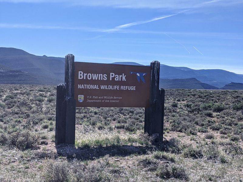 Browns Park National Wildlife Refuge Near Maybell