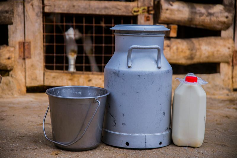 Browse The Dairy Case And Cold Items Carefully