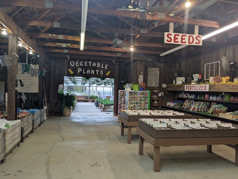 Browse The Vegetable Side With Real Garden Plans In Mind