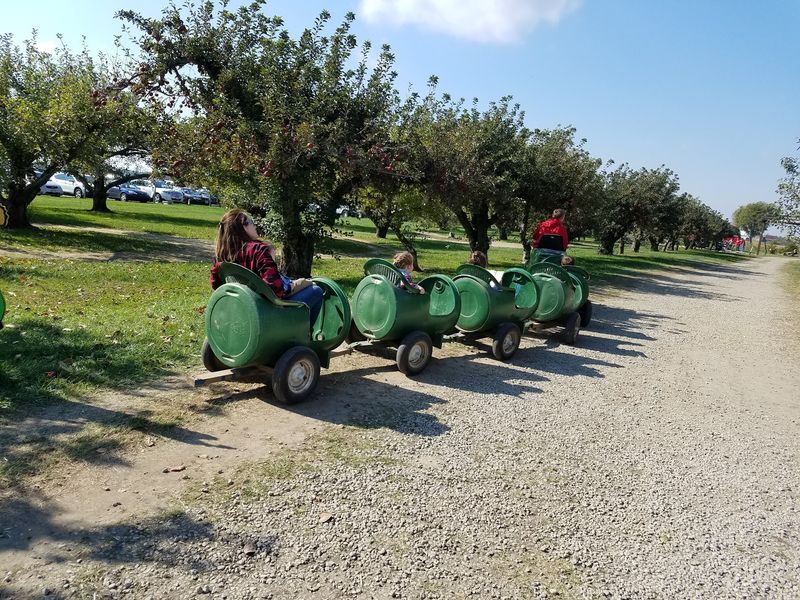 Brumbaugh Fruit Farm