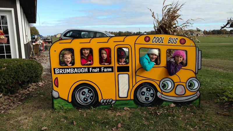 Brumbaugh Fruit and Fun Farm, Arcanum