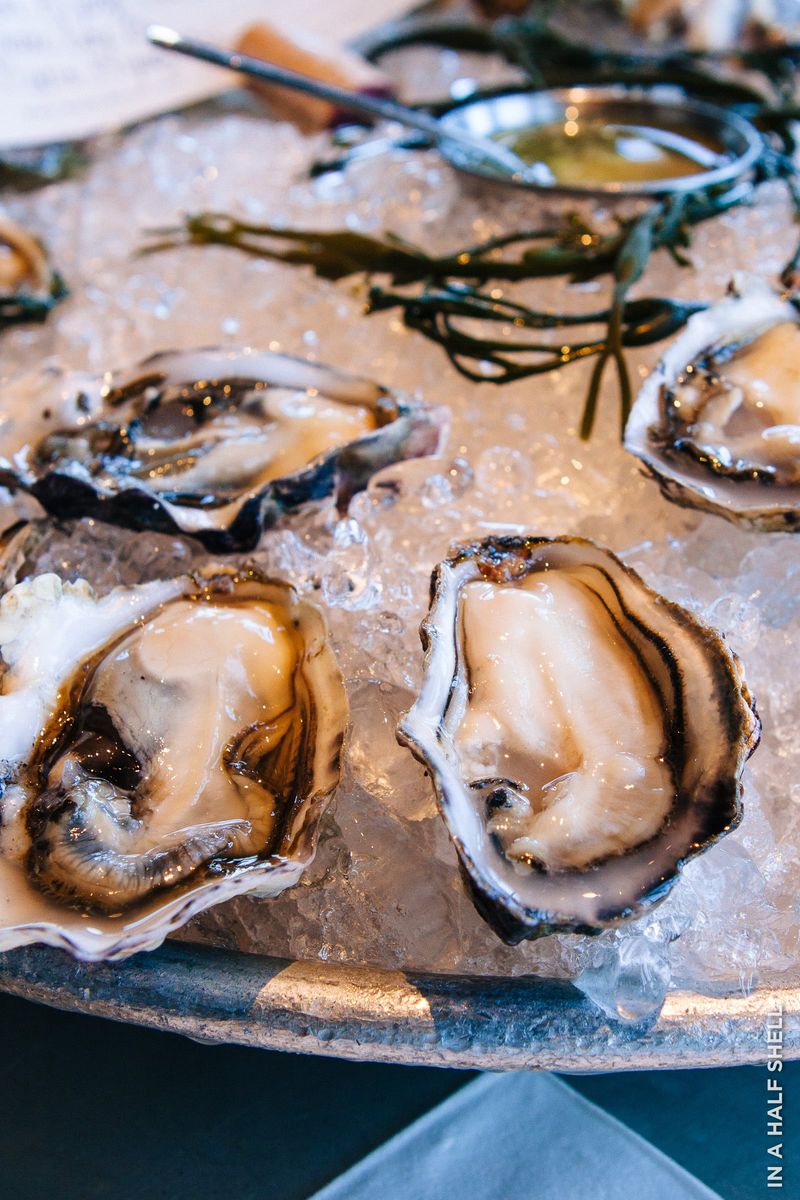 Oysters: Slurpable Delicacy Or Slimy Sea Boogers?
