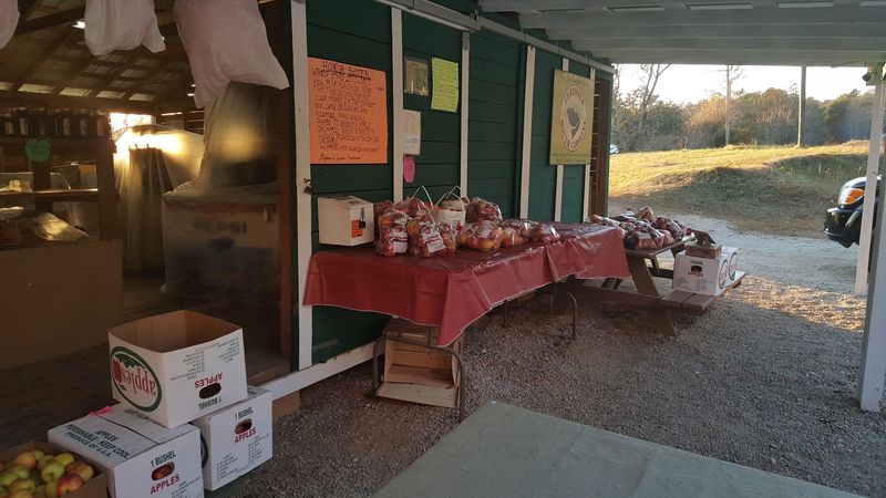 Bryson's U-Pick Apple Orchard Bryson's U-Pick Apple Orchard