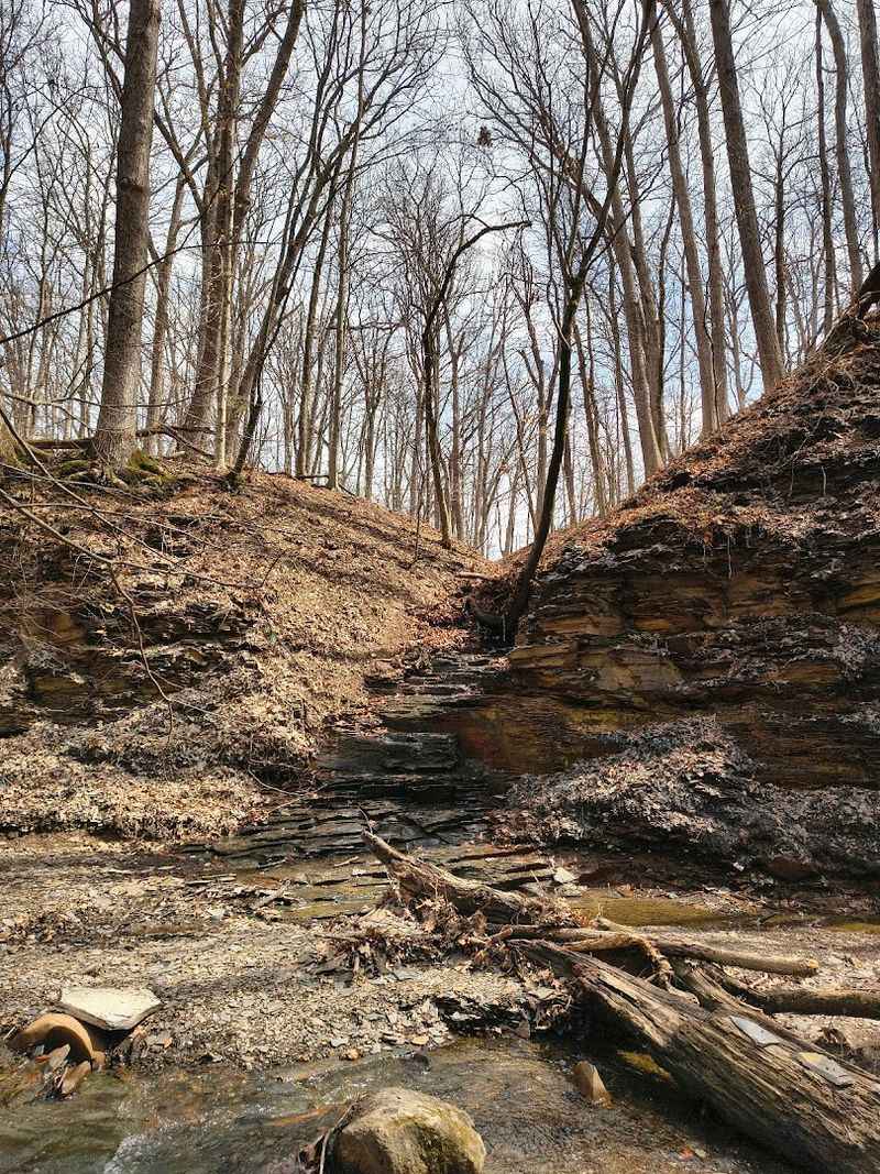 Highbanks Metro Park, Lewis Center, Ohio