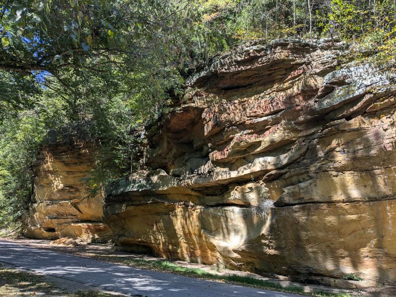Hemlock, Fern and Creekside Meadows Loop – Clear Creek Metro Park, Near Rockbridge