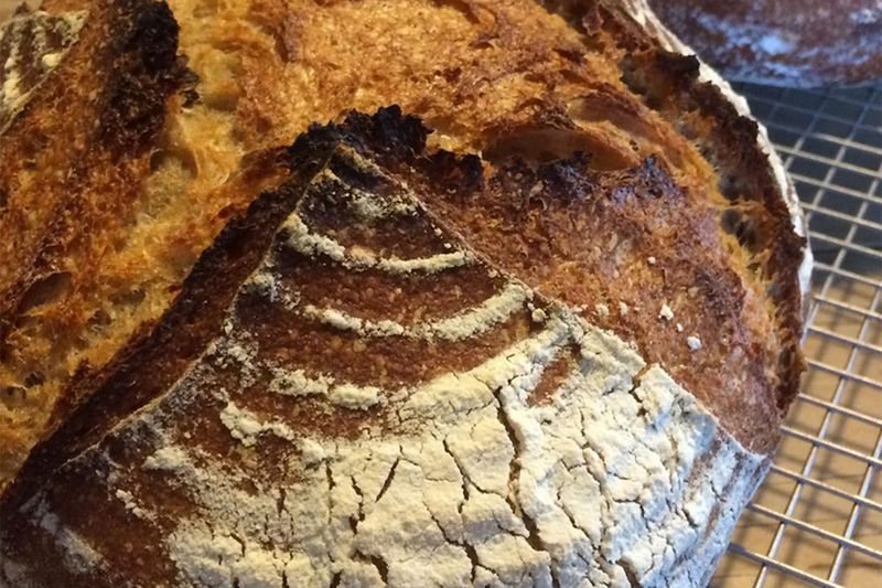Heritage Grain Sourdough