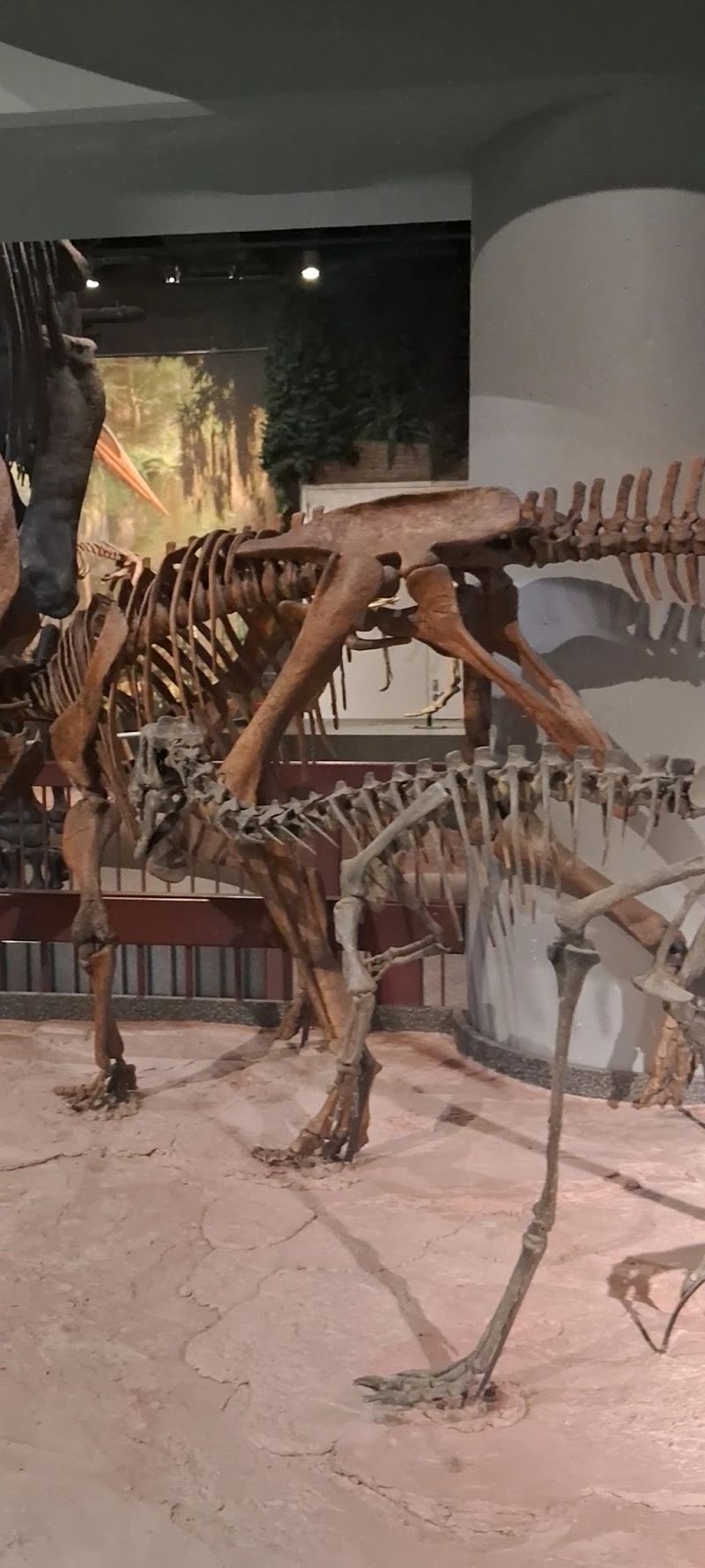 Budding Paleontologists Get Their Hands Dirty Outside