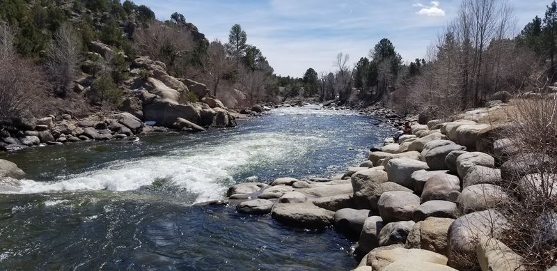 Buena Vista