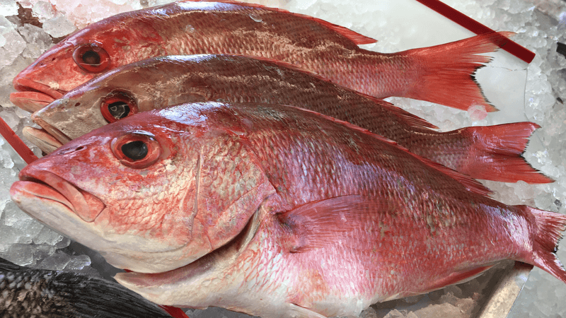 Buffalo And Pickerel Selections