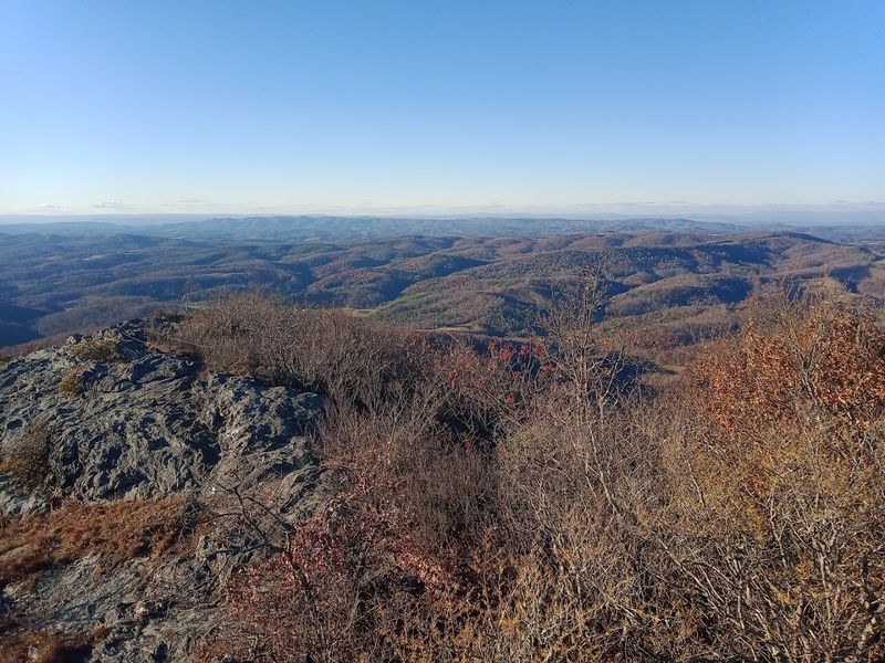 Buffalo Mountain Natural Area Preserve Buffalo Mountain Natural Area Preserve