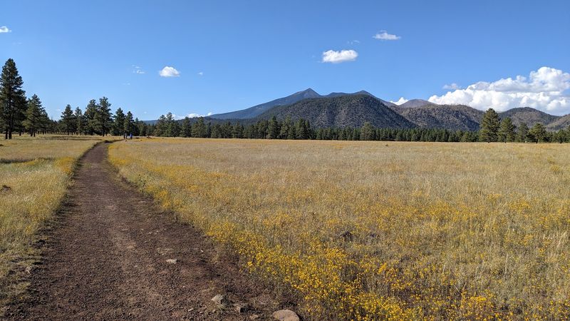 Buffalo Park, Flagstaff, AZ