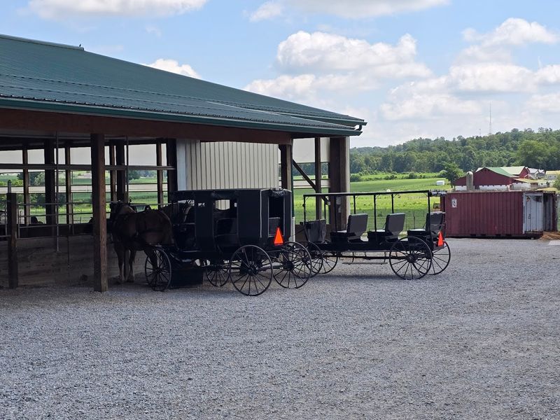 Buggy Rides and Seasonal Activities Buggy Rides and Seasonal Activities