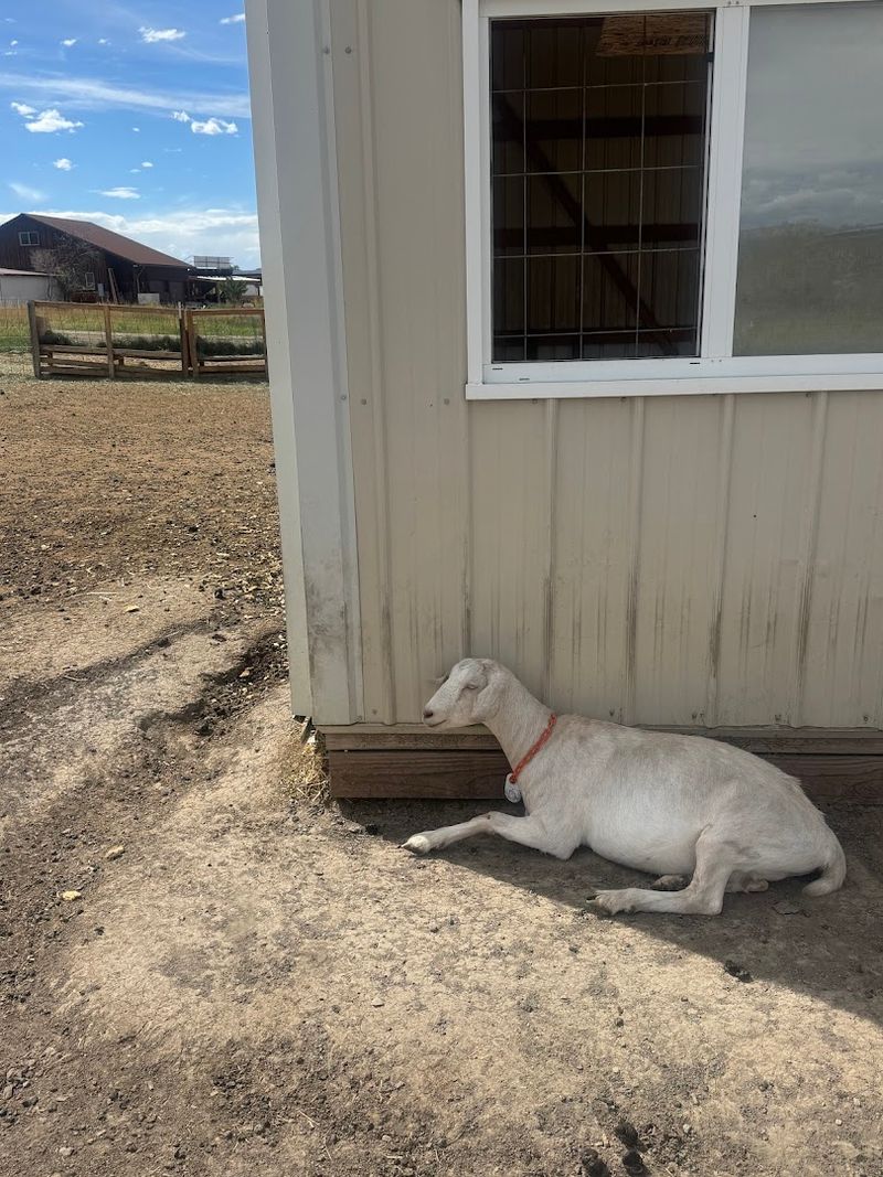 Final Verdict: Go Before Everyone Else Figures It Out