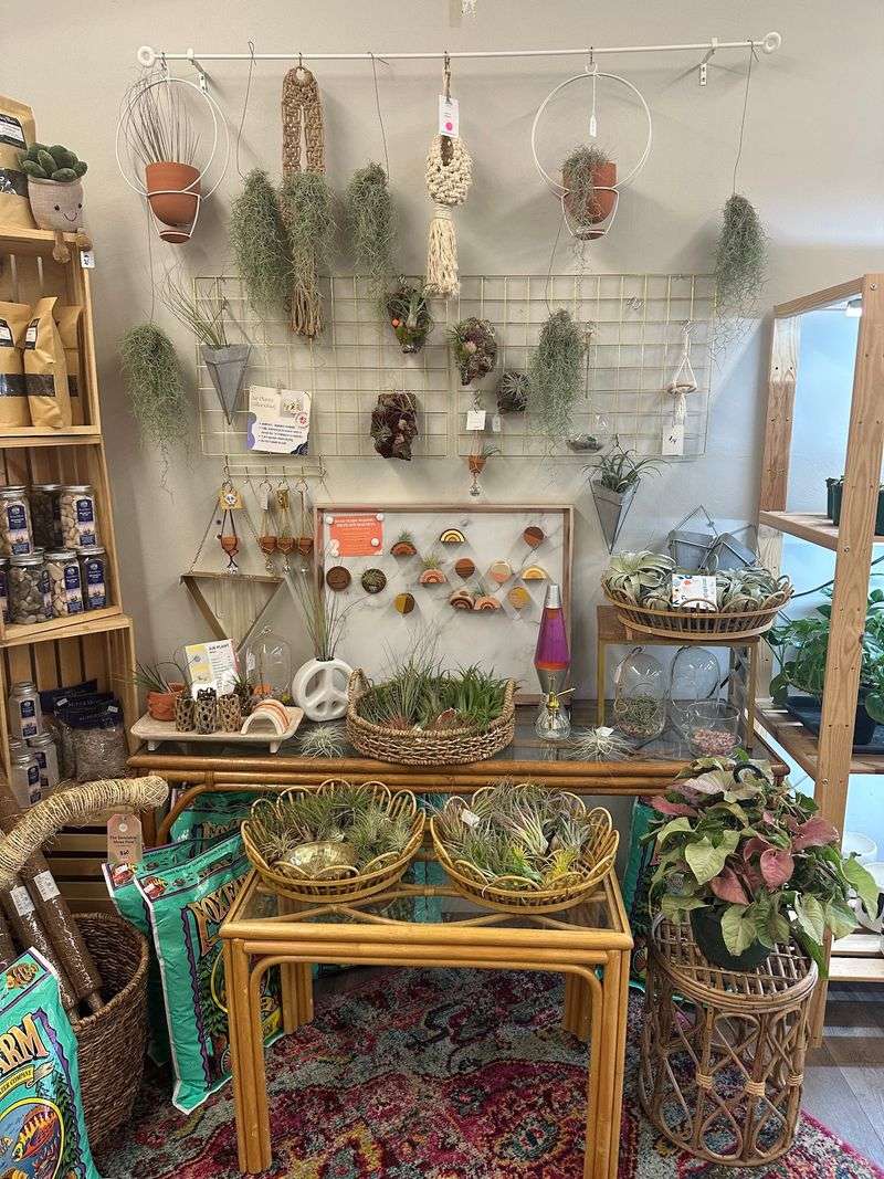 Build Your Own Terrarium Experience