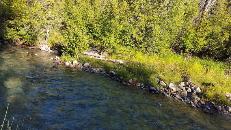 Build a Low-Effort Day Around the Cabin and the Road Just Outside It