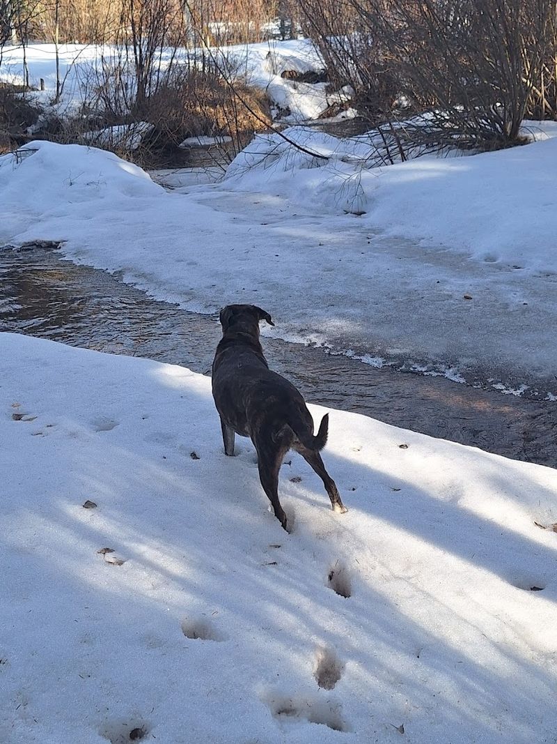 Final Verdict: The Spring Drive That Earns Its Own Reputation