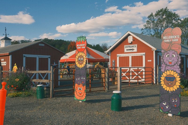 The Farm Operates Friday Through Sunday During The Season