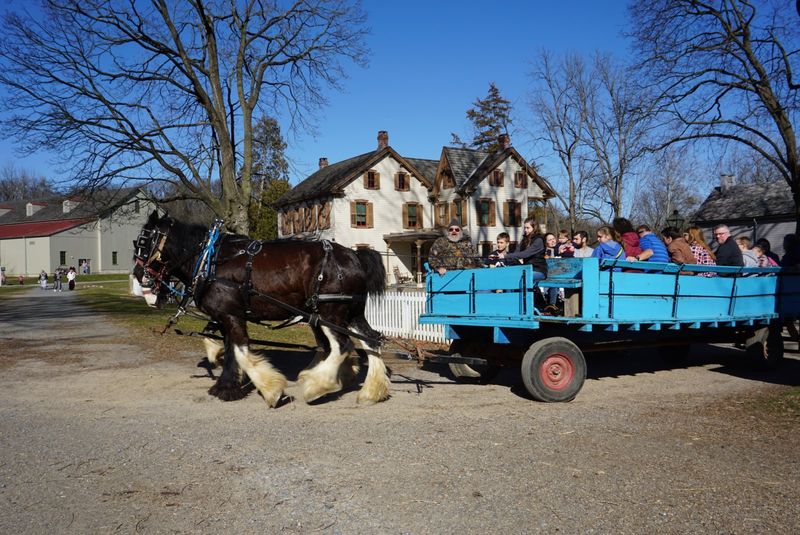 Seasonal Events That Draw Families Back Year After Year