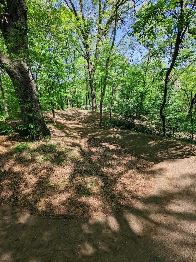 When To Go For The Most Magical Experience