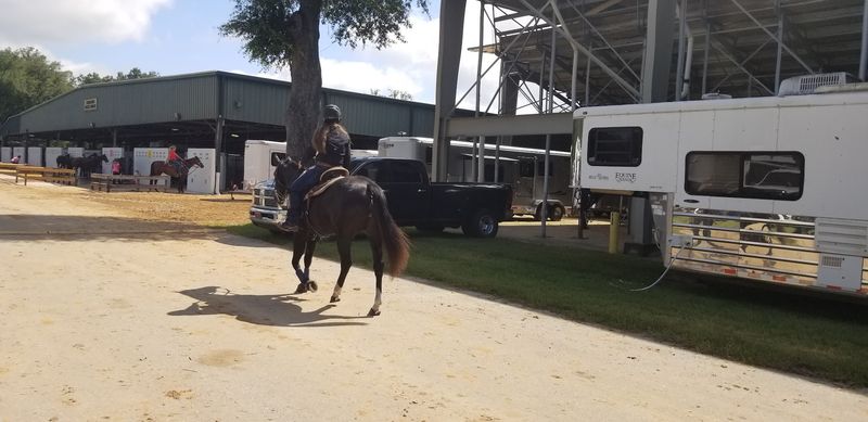 Bull Riding Is The Heart Of The Whole Show