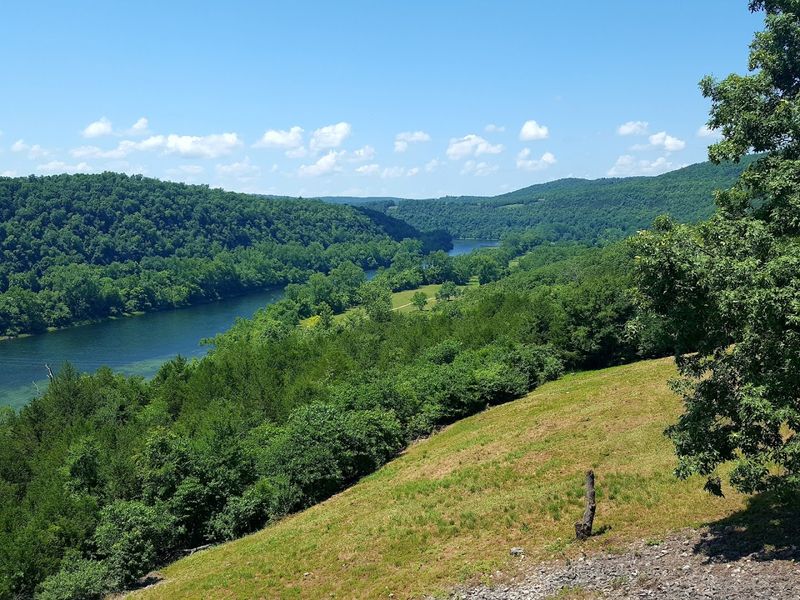 Bull Shoals-White River State Park, Lakeview Bull Shoals-White River State Park, Lakeview