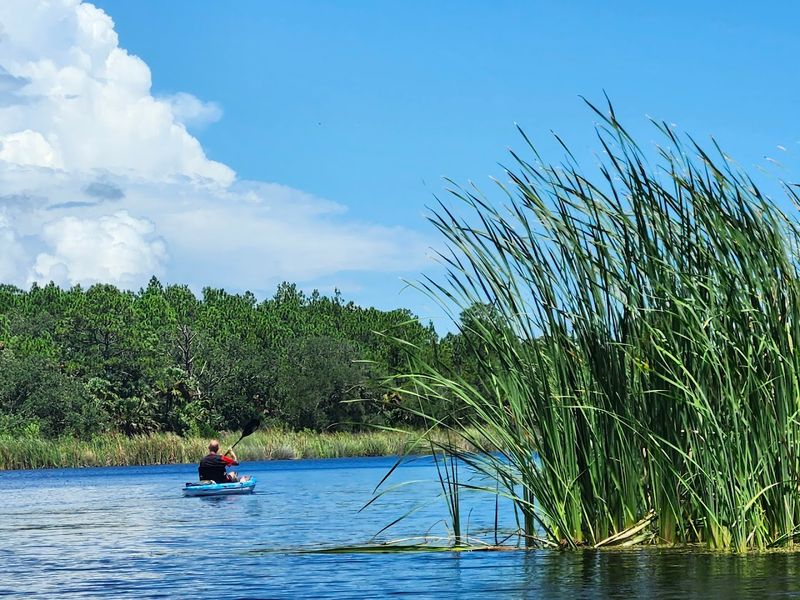 Bulow Creek Offers Kayaking And Canoeing Through Wild Florida