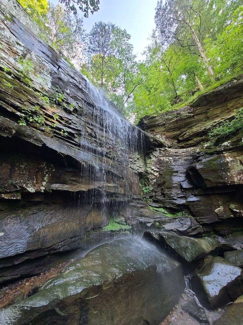 Boulder Falls Area, Bell Smith Springs Recreation Area