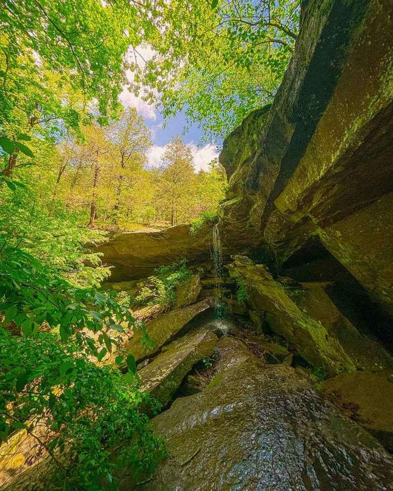 Burden Falls Wilderness - Shawnee National Forest Burden Falls Wilderness - Shawnee National Forest
