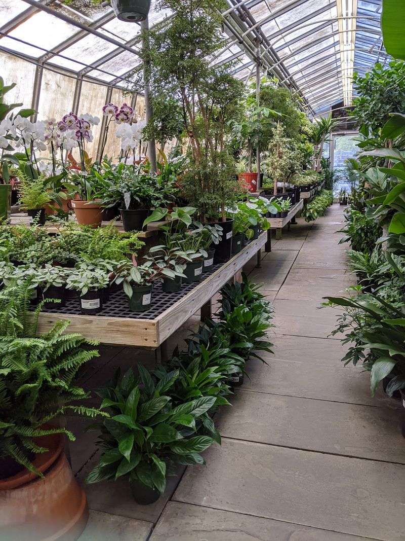 Burke Nursery & Garden Centre Burke Nursery & Garden Centre