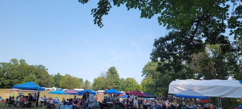 Burley Park Antiques Flea Market, Howard City