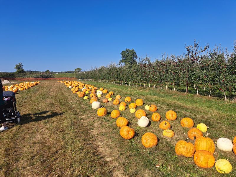 Burnham Orchards, Berlin Heights