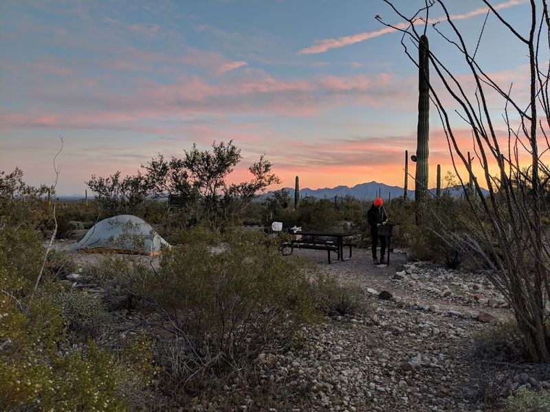 Twin Peaks Campground, Organ Pipe Cactus National Monument
