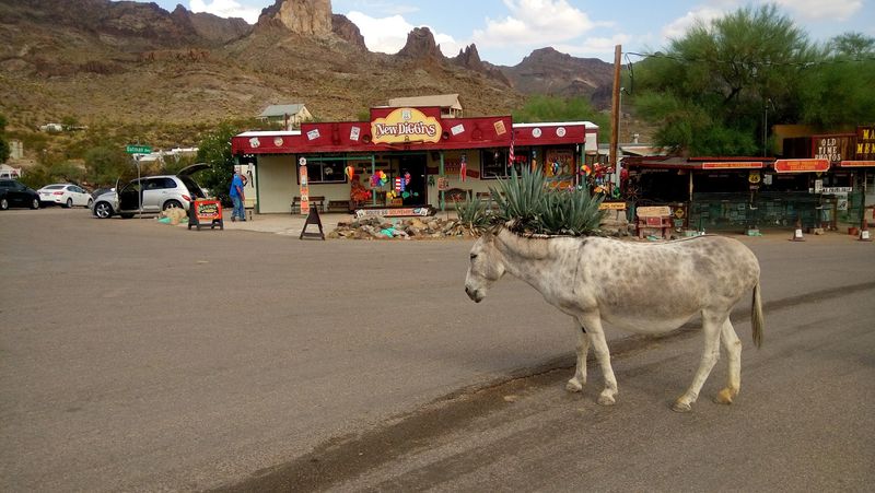 Burro Snacks Done The Right Way