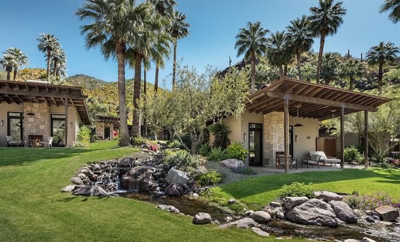 Burros, Birds, and a Grown-Up Hush