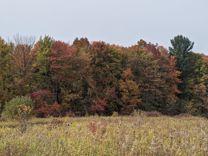 Burton, Geauga County