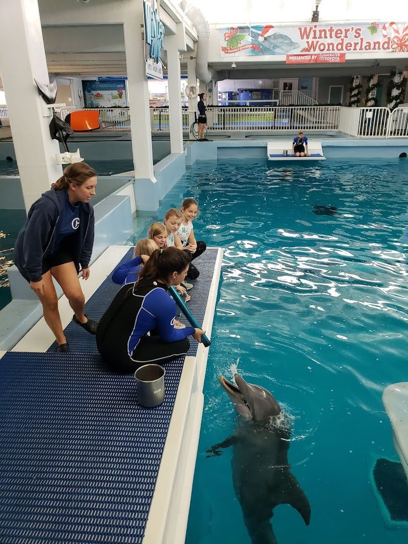 Clearwater Marine Aquarium