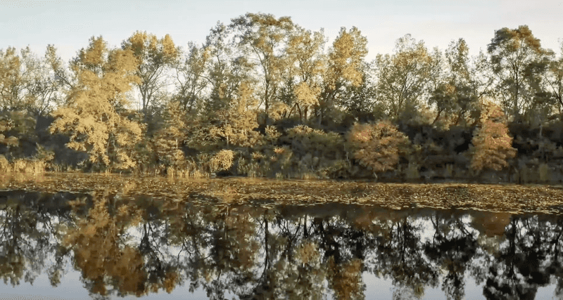 Lake Katherine Nature Center & Botanic Gardens, Palos Heights