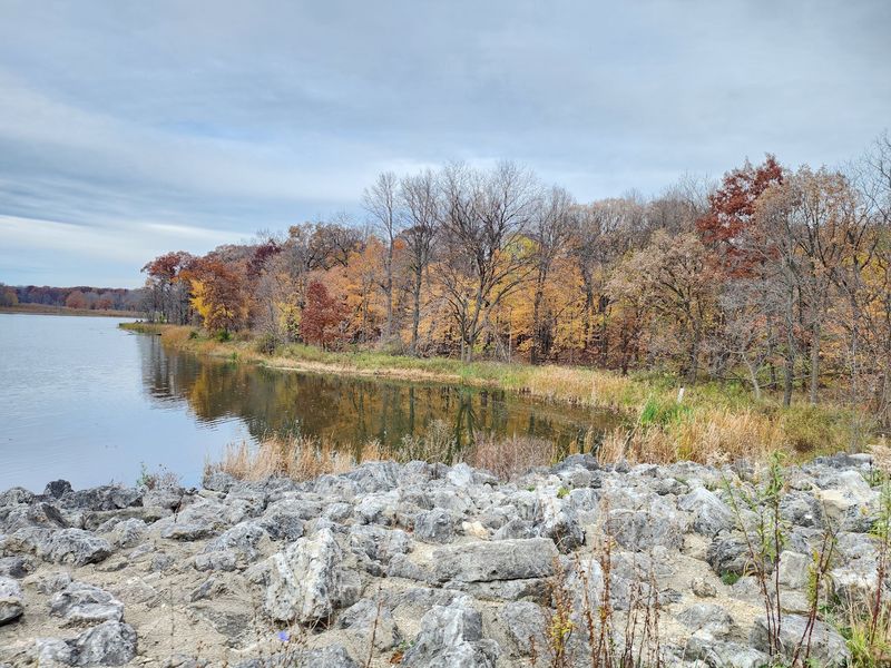 Busse Woods