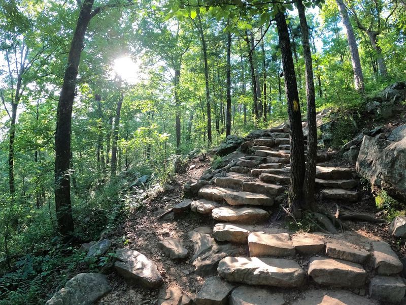 Kingfisher Trail, Little Rock