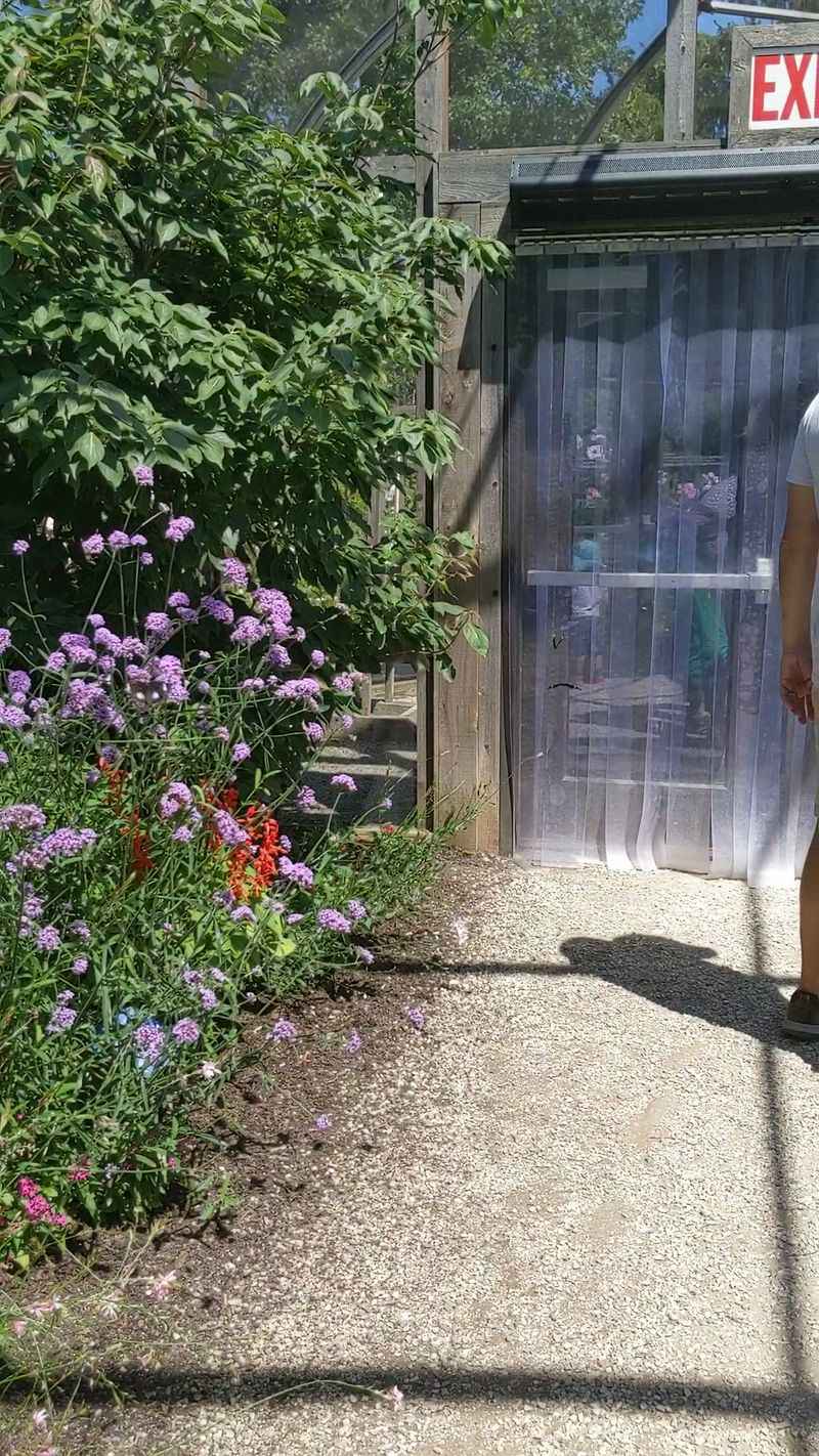 Butterflies & Blooms is a seasonal stop, not a permanent butterfly house Butterflies & Blooms is a seasonal stop, not a permanent butterfly house