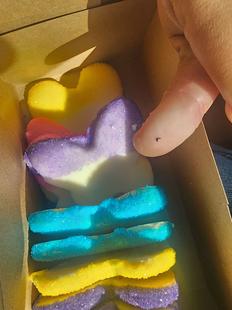 Butterfly Cookies And The Cut Out Legend