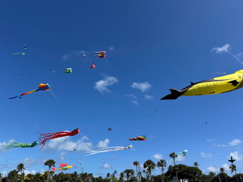 Haulover Park (Kite Days Festival) — Miami Beach
