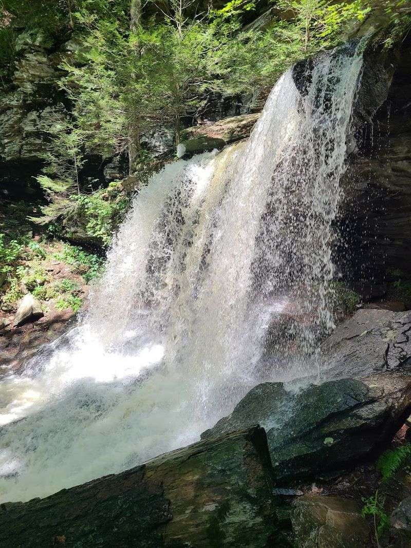 B. Reynolds Falls, Ricketts Glen State Park