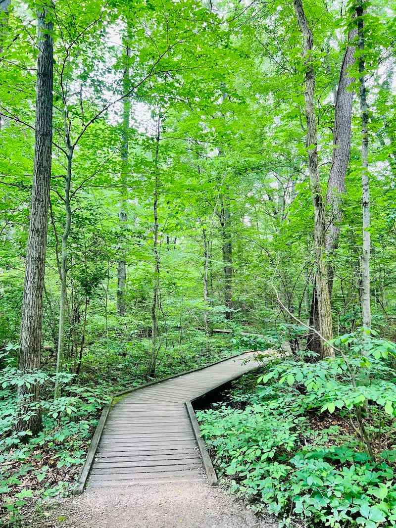 Buttonbush Trail at Blacklick Woods Metro Park, Reynoldsburg, OH